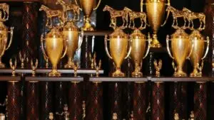 Good Luck to NYC Debaters at the Tournament of Championships at the University of Kentucky this weekend!