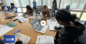 NYCUDL on NY1